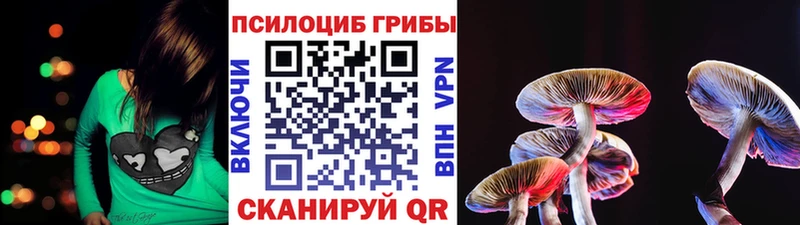 Псилоцибиновые грибы GOLDEN TEACHER  Купить где  Киржач 